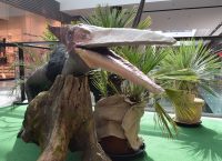Pterosaurus pteranodon