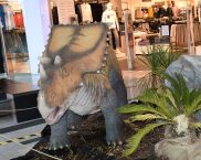 Dinosaurus chasmosaurus