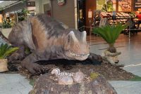 Dinosaurus allosaurus