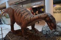 Dinosaurus plateosaurus