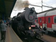 Mazutka si spokojne bafká pred jazdou